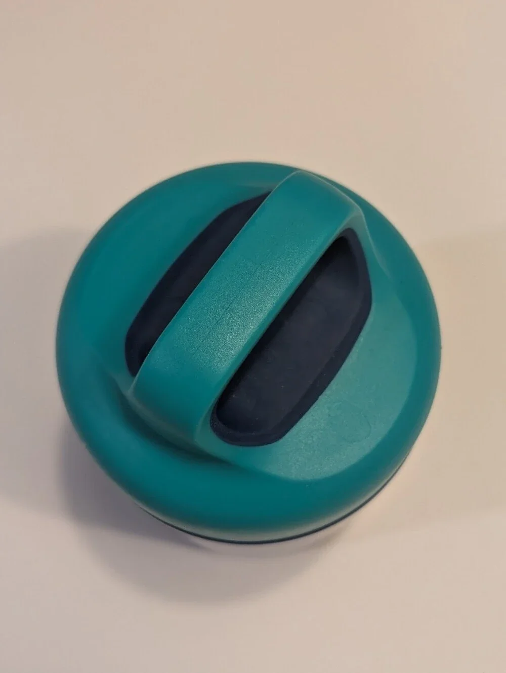 Kids Navy and Teal Dinosaur Food Container